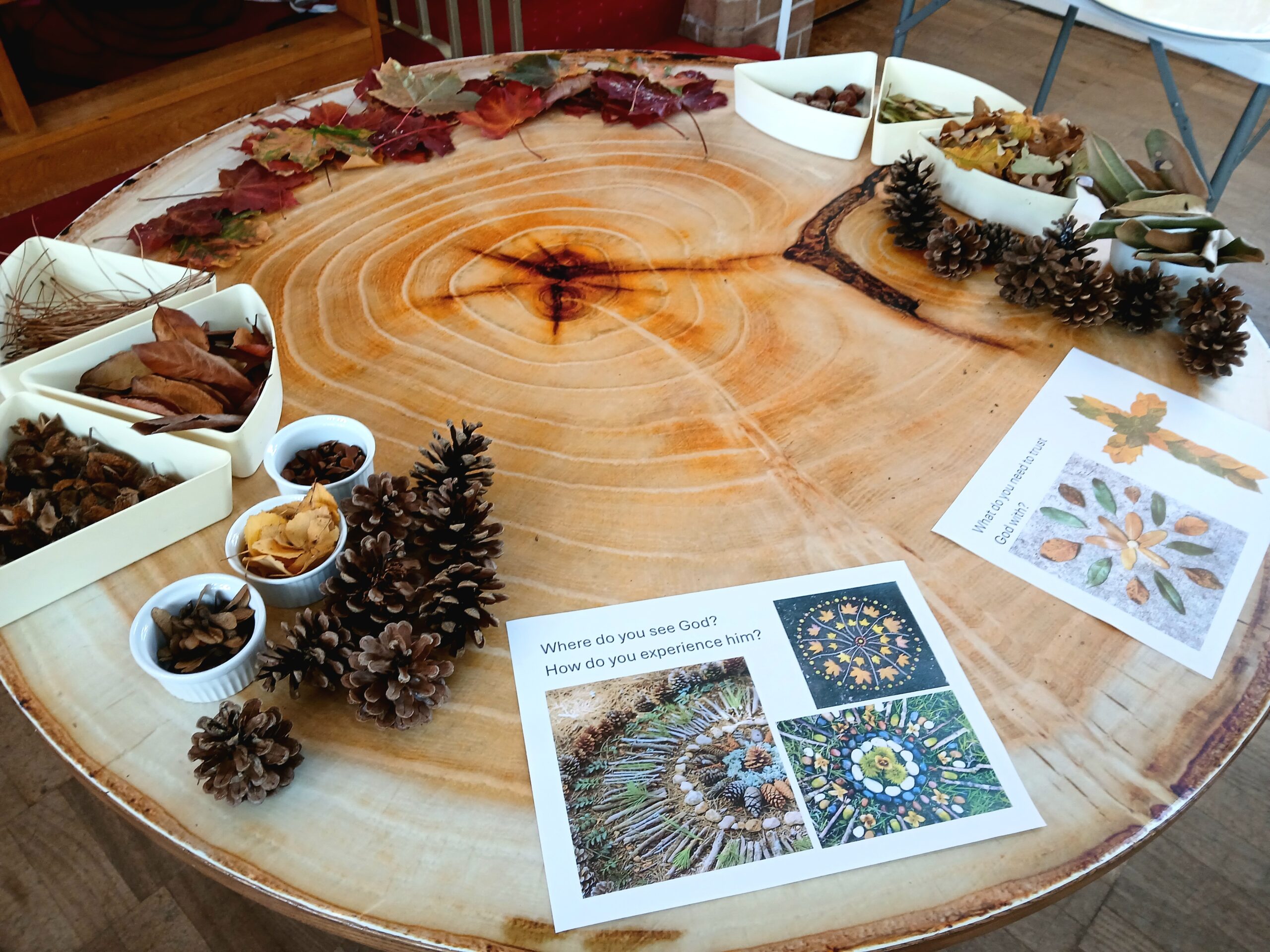 A selection of autumn leaves and seeds are laid out on a tabletop that resembles the rings of a tree. There are also a couple of sheets of paper with example mandalas made of natural resources, and some questions to consider.